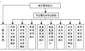 电子商务专业分类