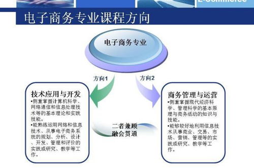 自考电子商务专业课程