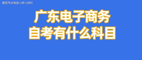 成考电子商务专业