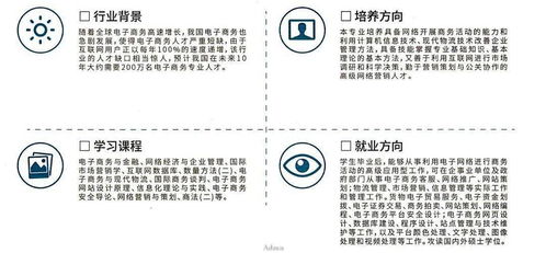 211电子商务专业