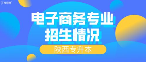 专科转电子商务专业