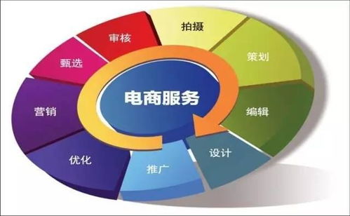 电子商务技术专业分析