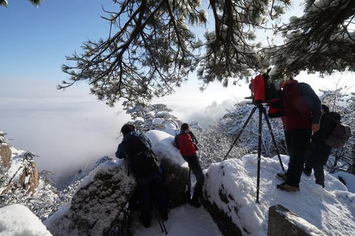 黄山遇罕见大雪，游客头朝下滑落事件引发安全关注