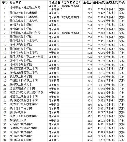 大专学历的电子商务专业