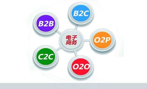 读电子商务专业知识