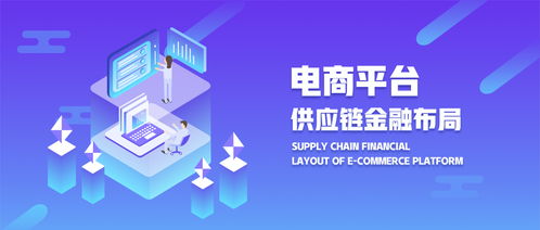 电子商务金融类专业