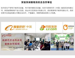 国外电子商务专业现状