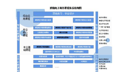 怎么学跨境电子商务专业