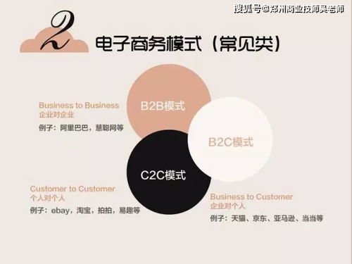 电子商务专业的企业诉求