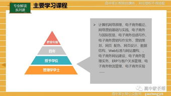 电子商务专业的认知理解