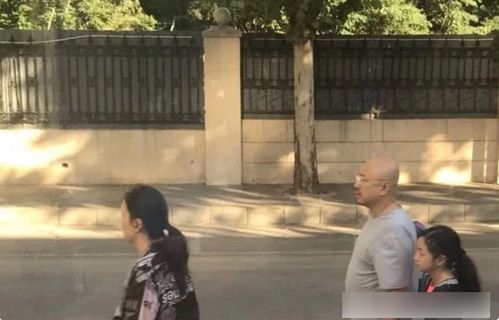 尹锡悦被拍到在公园悠闲遛狗，繁忙政务之余，韩国总统展现温馨家庭生活