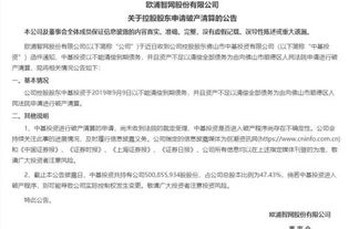 女子负债2544万申请个人破产，合理性的探讨