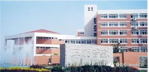 安徽大学的电子商务专业