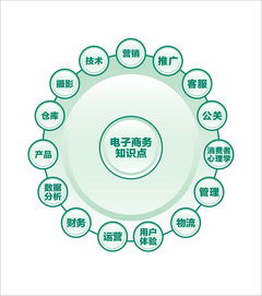 电子商务技术专业百科