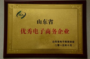 专业型电子商务企业名称
