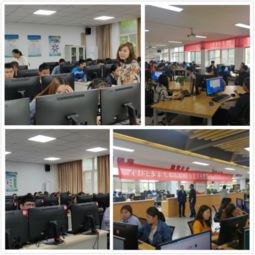 四年学习电子商务专业