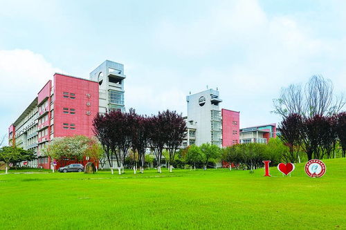 江西财经大学电子商务专业