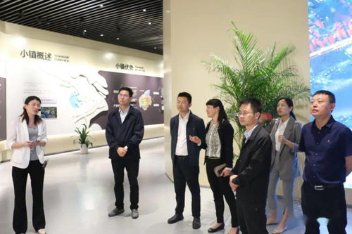 河科大有电子商务专业吗